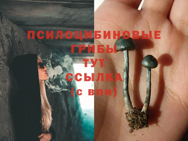 трава Кулебаки